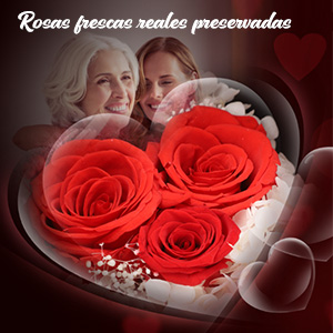 Cumpleaños, aniversario regalo para mamá esposa novia