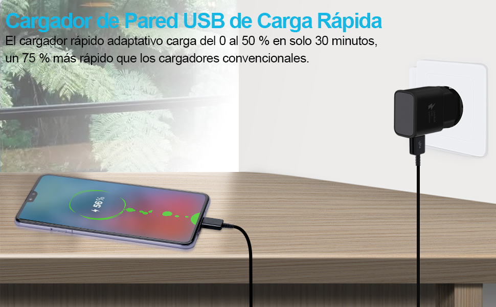 cargador tipo c carga rapida