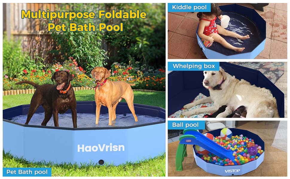 Piscina para perros grandes y pequeños