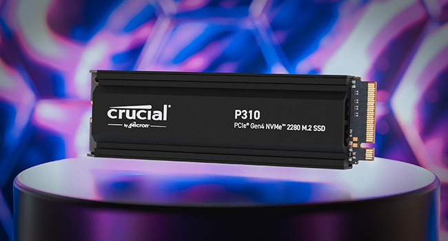 Crucial P310 with HS