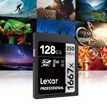 1667X SD
