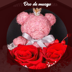 Cumpleaños, aniversario regalo para mamá esposa novia
