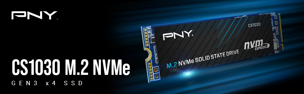 pny cs1030