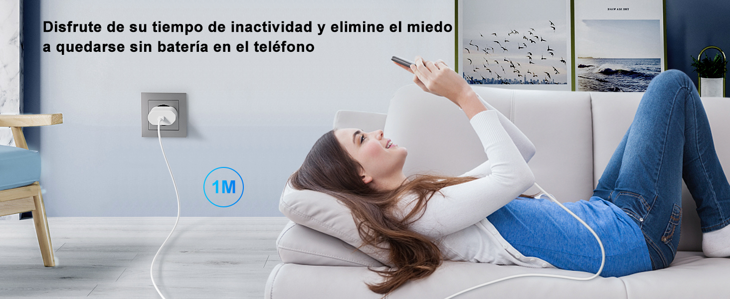 Cargador iPhone