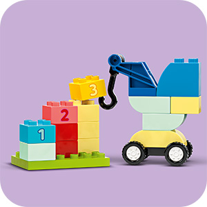 10439_DUPLO