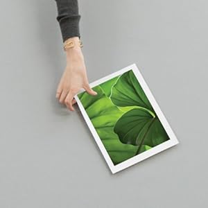 Papel HP