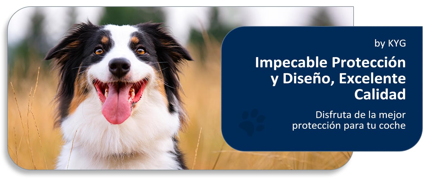Funda Coche Perro