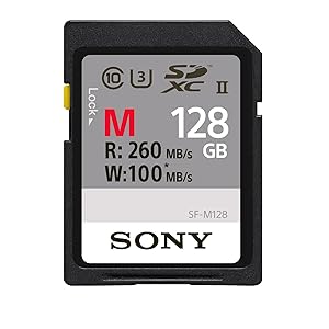 M series, Sony, 128GB