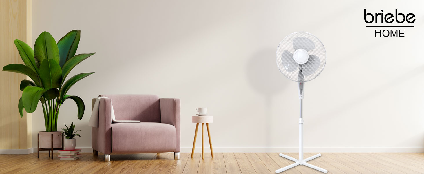 aplus content image