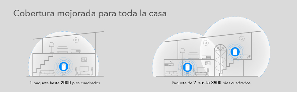 mesh wifi