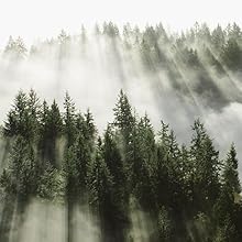 Sustainability