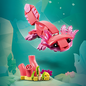 31170_CREATOR