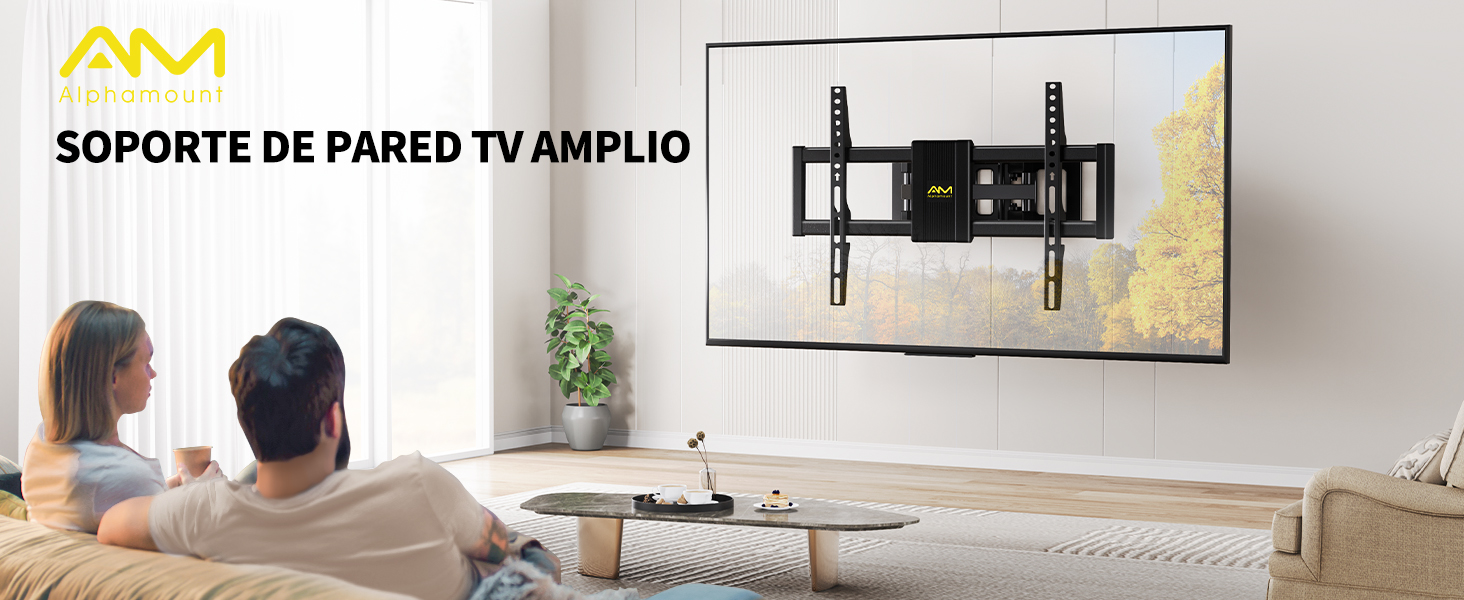 Soporte TV Pared