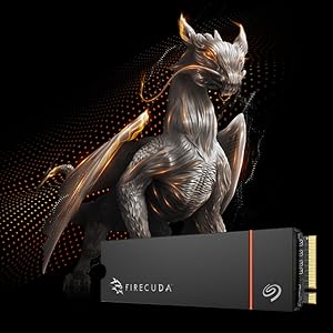 FireCuda 530R Heatsink
