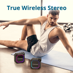 true wireless stereo