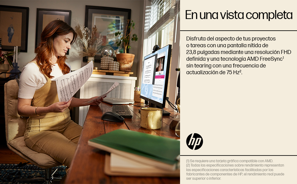 HP Monitor