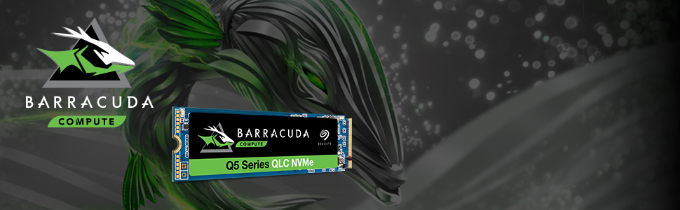 barracuda q5