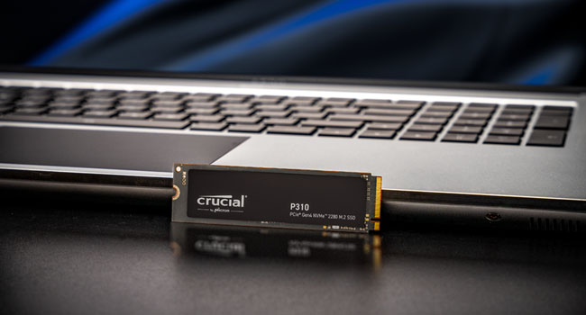 Crucial P310