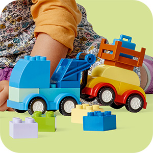 10439_DUPLO