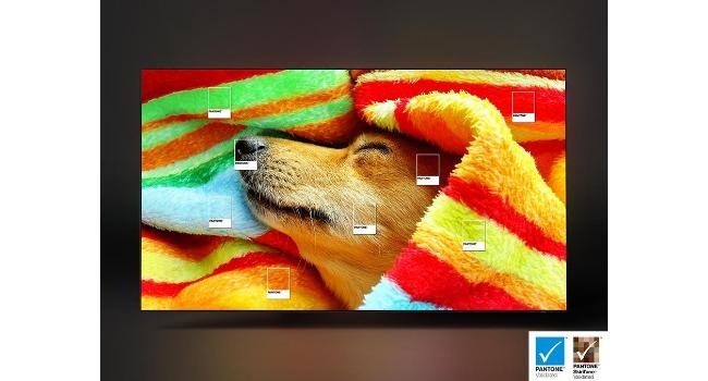 Validado por PANTONE