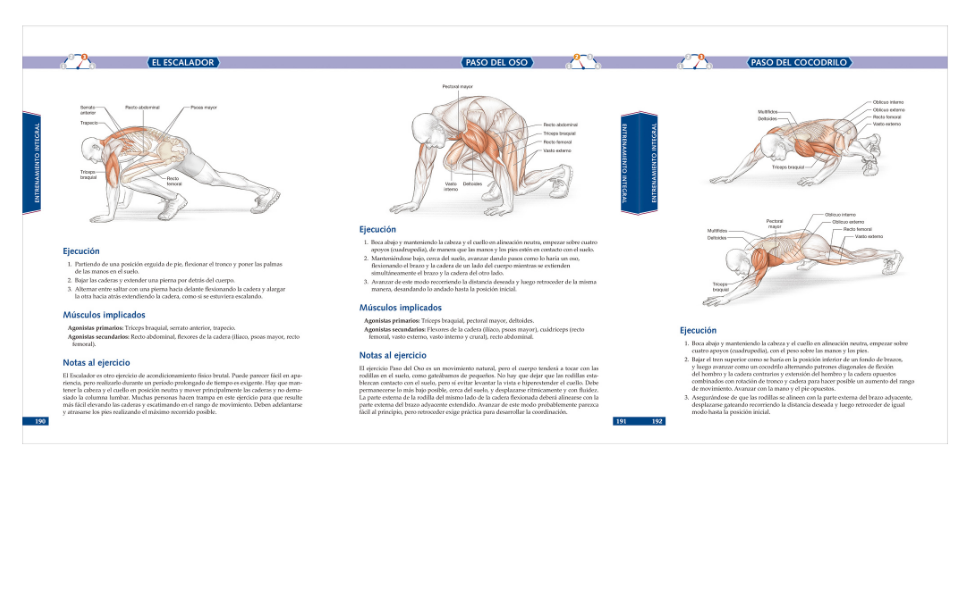 Anatomía del entrenamiento de la fuerza