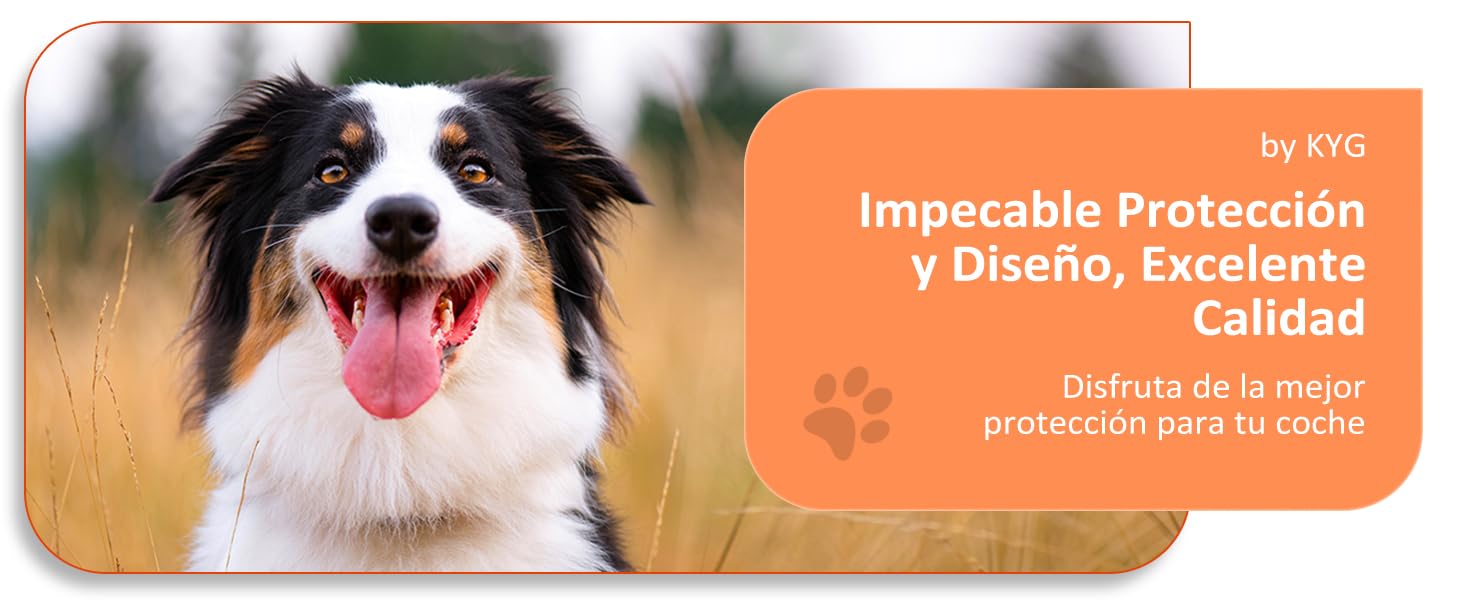 Funda Coche Perro