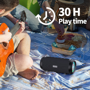 MIFA A90 altavoz