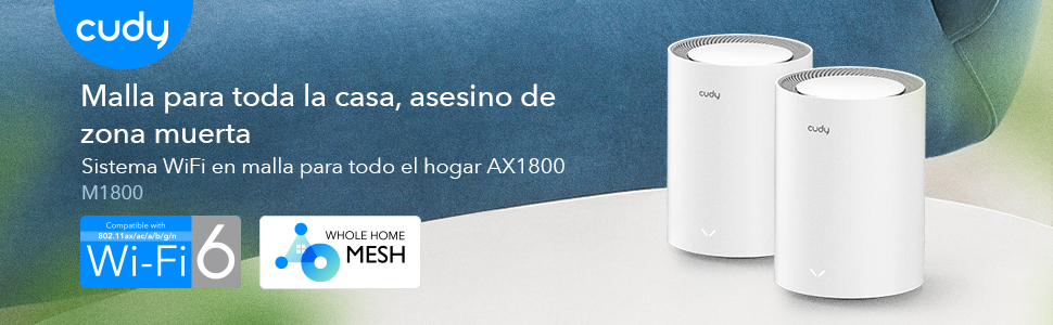 mesh wifi