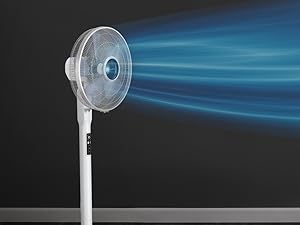 ventilador