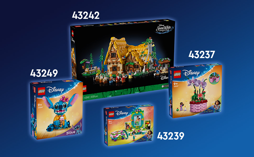 43237_Disney Animation