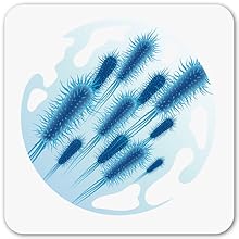 Filtro Anti-Bacteria