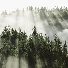 Sustainability