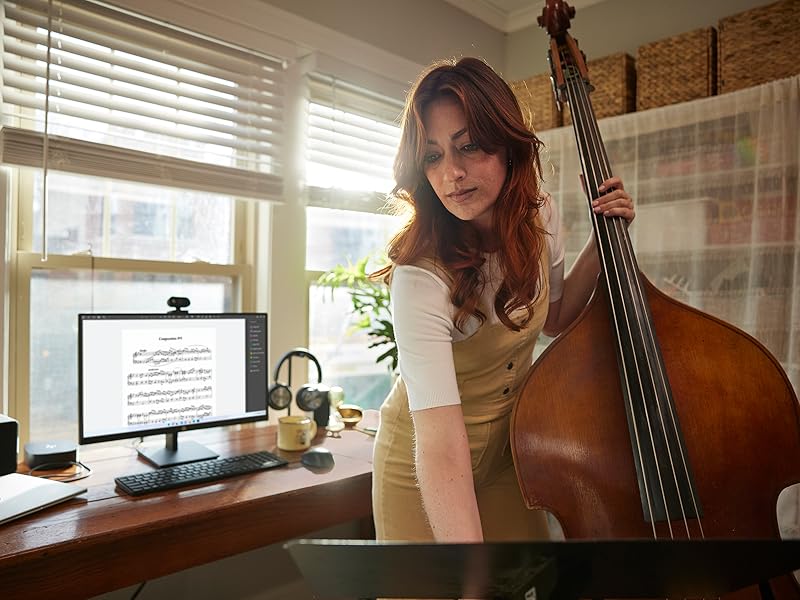 HP Monitor