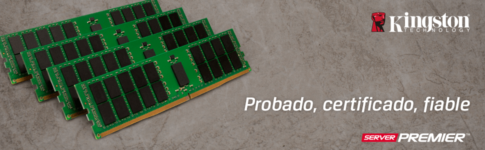 Memoria Server Premier de Kingston