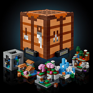 21265_MINECRAFT