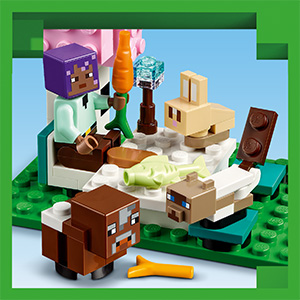 21253_Minecraft