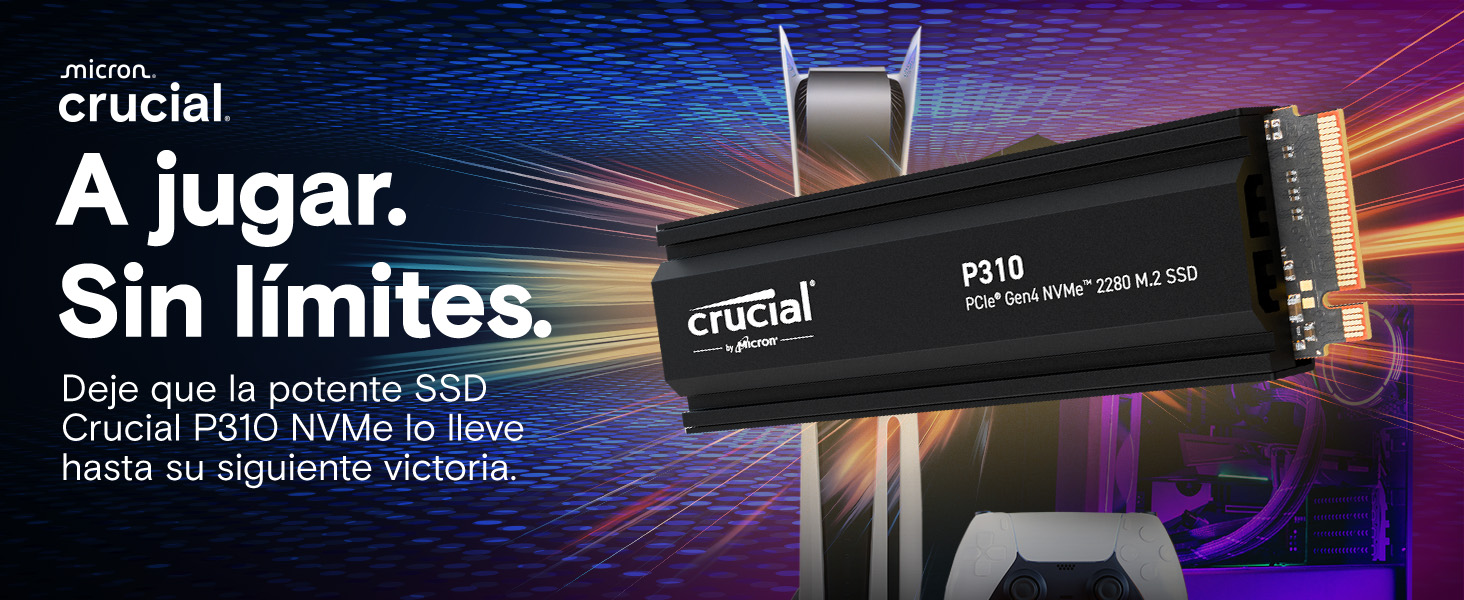 Crucial P310 with HS