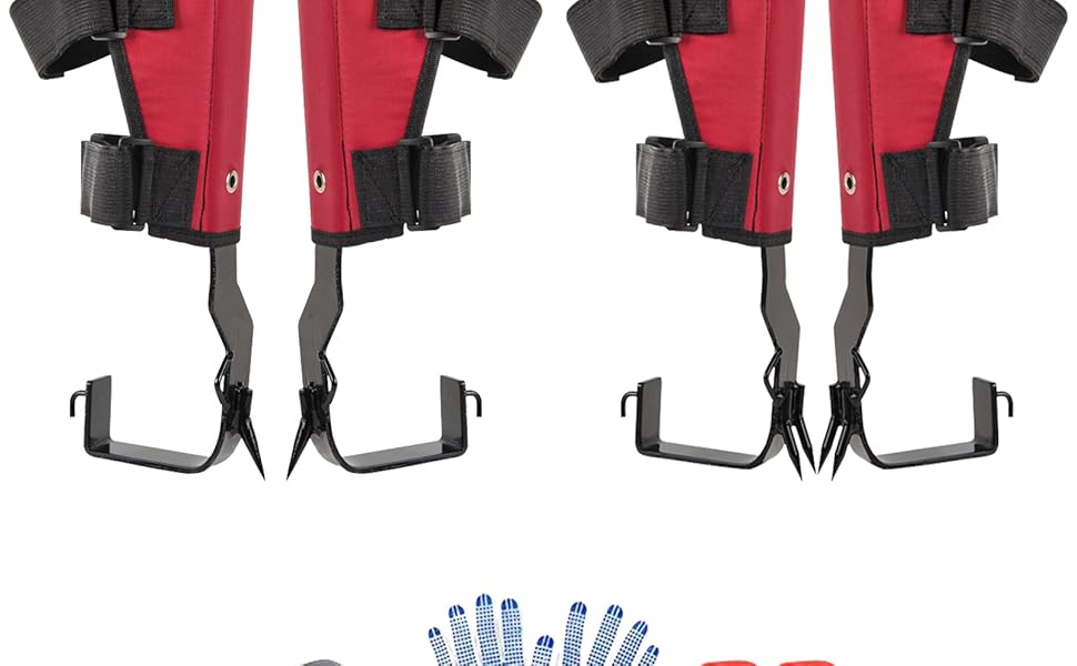 ccvc