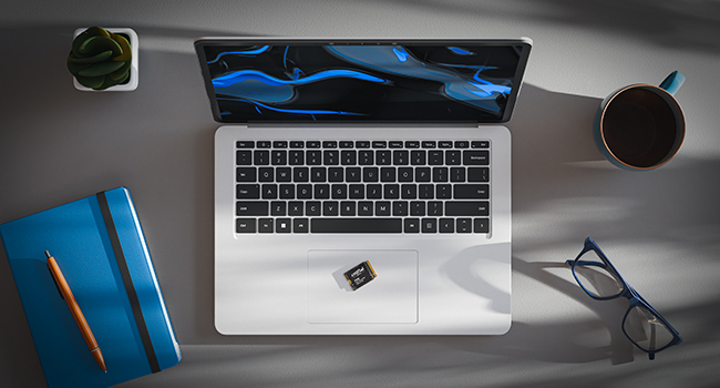 P310 NVMe