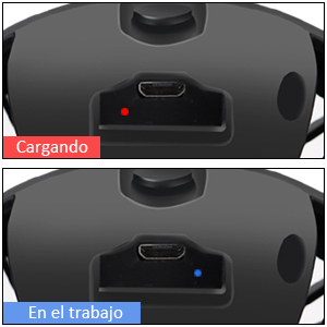 Cargando