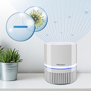 ioniser