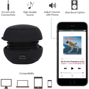 Bass Buddy features