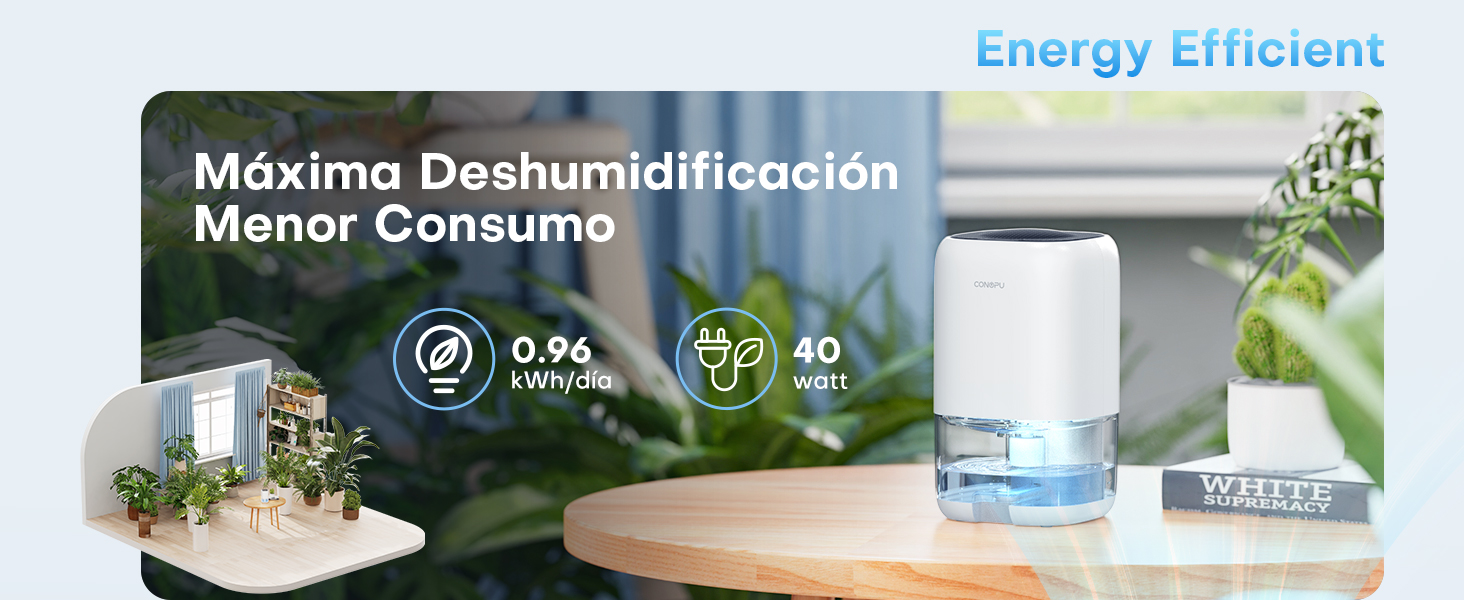 deshumidificador