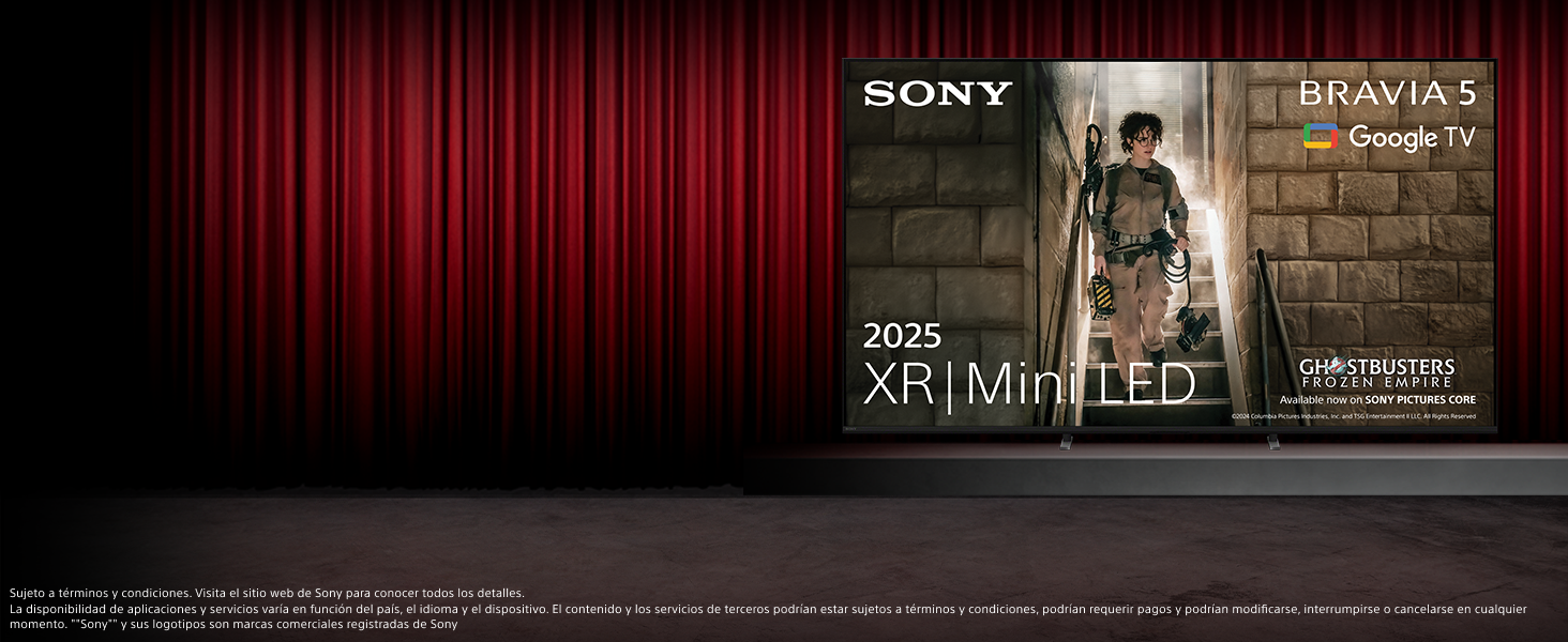 bravia5
