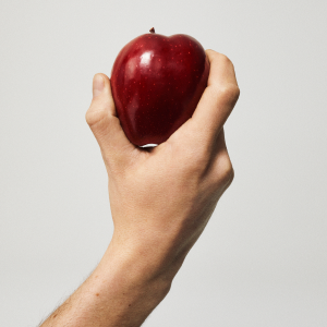Manzana y canela