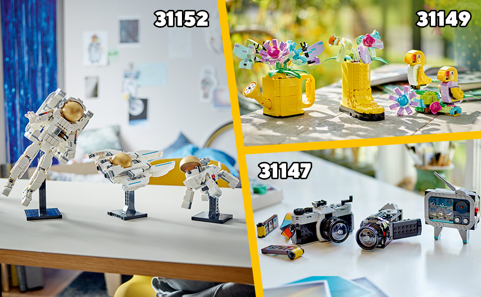 31149_CREATOR