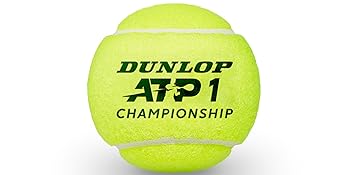 ATP Championship
