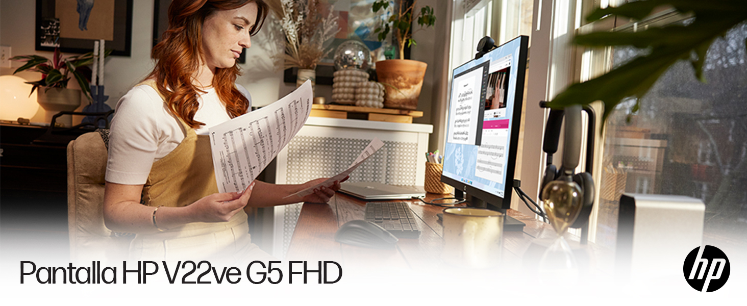 HP Monitor