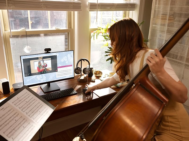HP Monitor