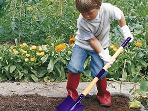 Set de Jardinería con Carretilla